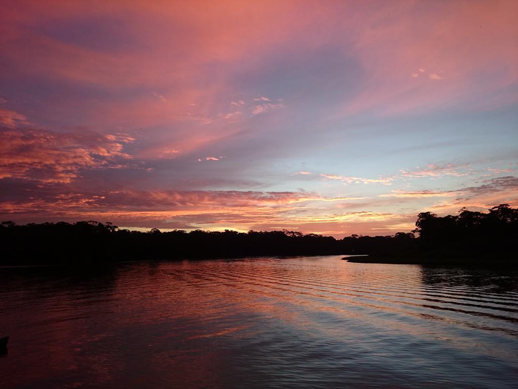 Tortuguero Adventures Guesthouse Exterior foto